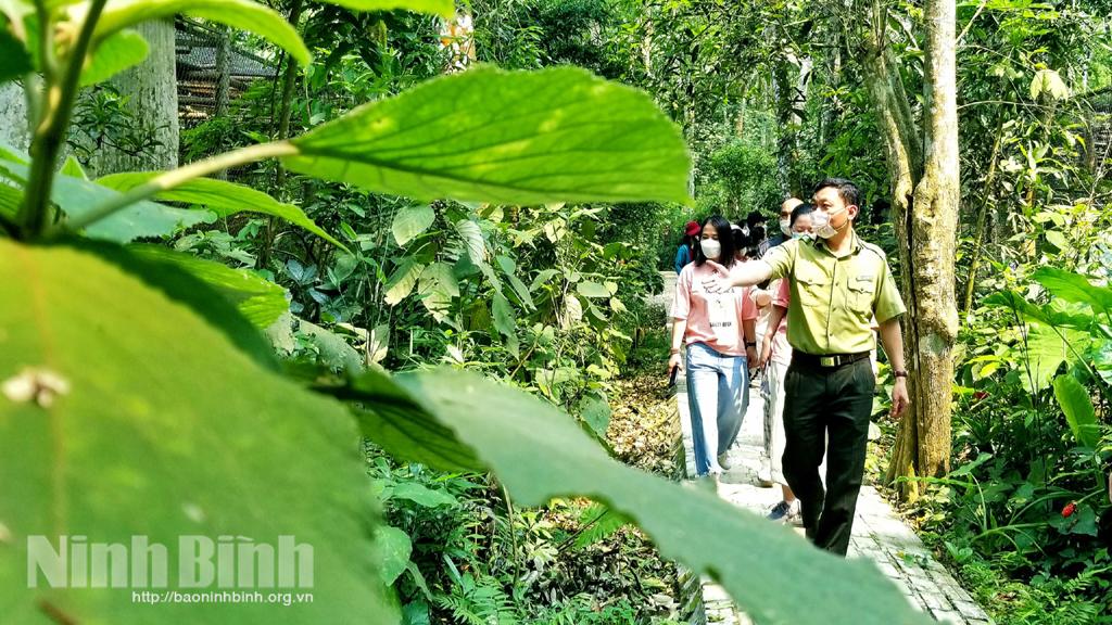 Cuc Phuong wins Asia's leading national park for 4th year