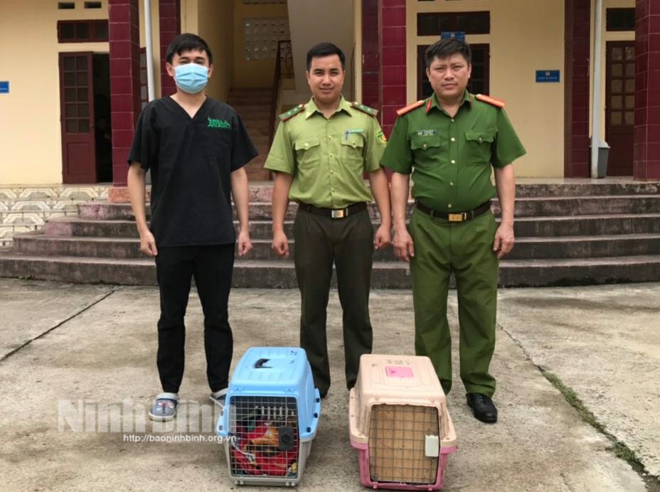 Cuc Phuong National Park rescues two rare Owston's palm civets