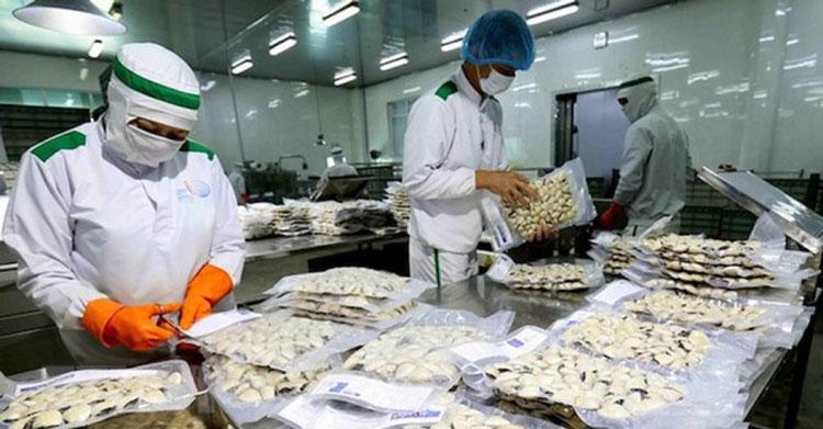 Ninh Binh strictly manages clam farming areas for export
