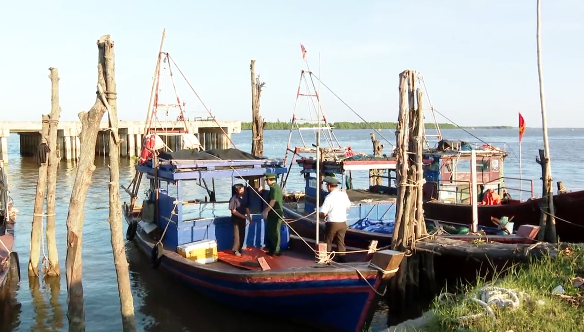 Ninh Binh makes efforts to lift EC's "yellow card" against Vietnamese seafood