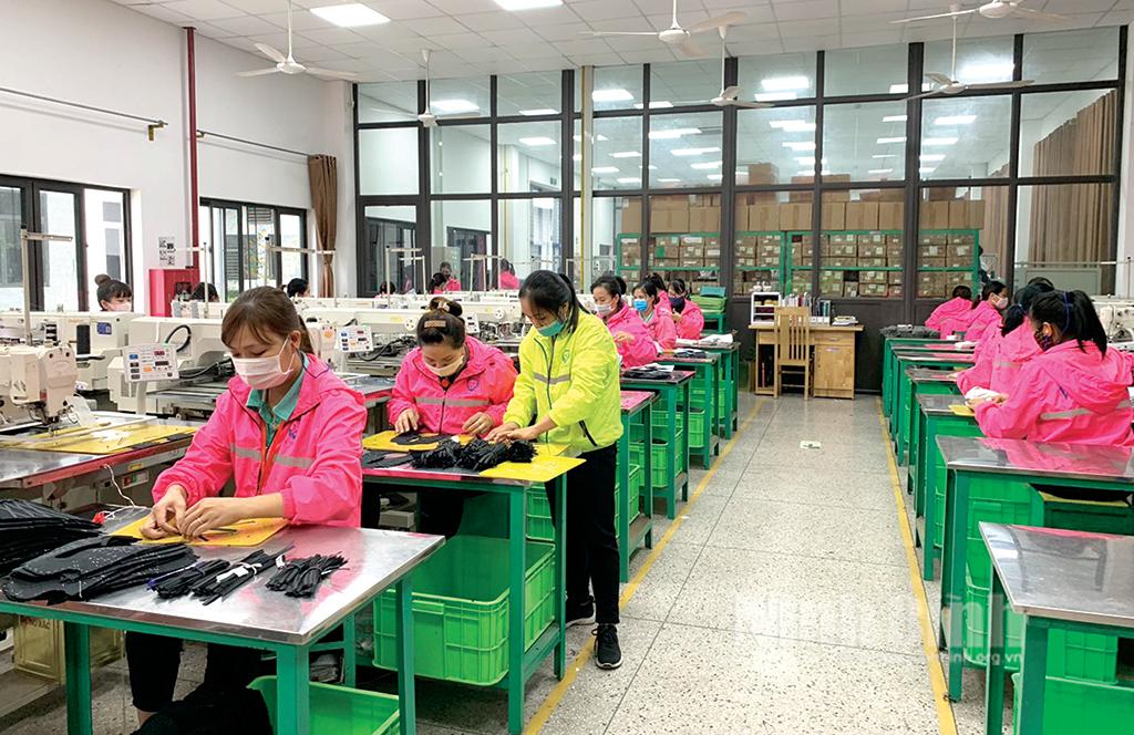 Ninh Binh's export gains growth momentum in year-end months