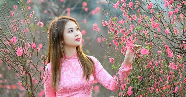 PM orders measures to ensure warm, safe Lunar Festival for all