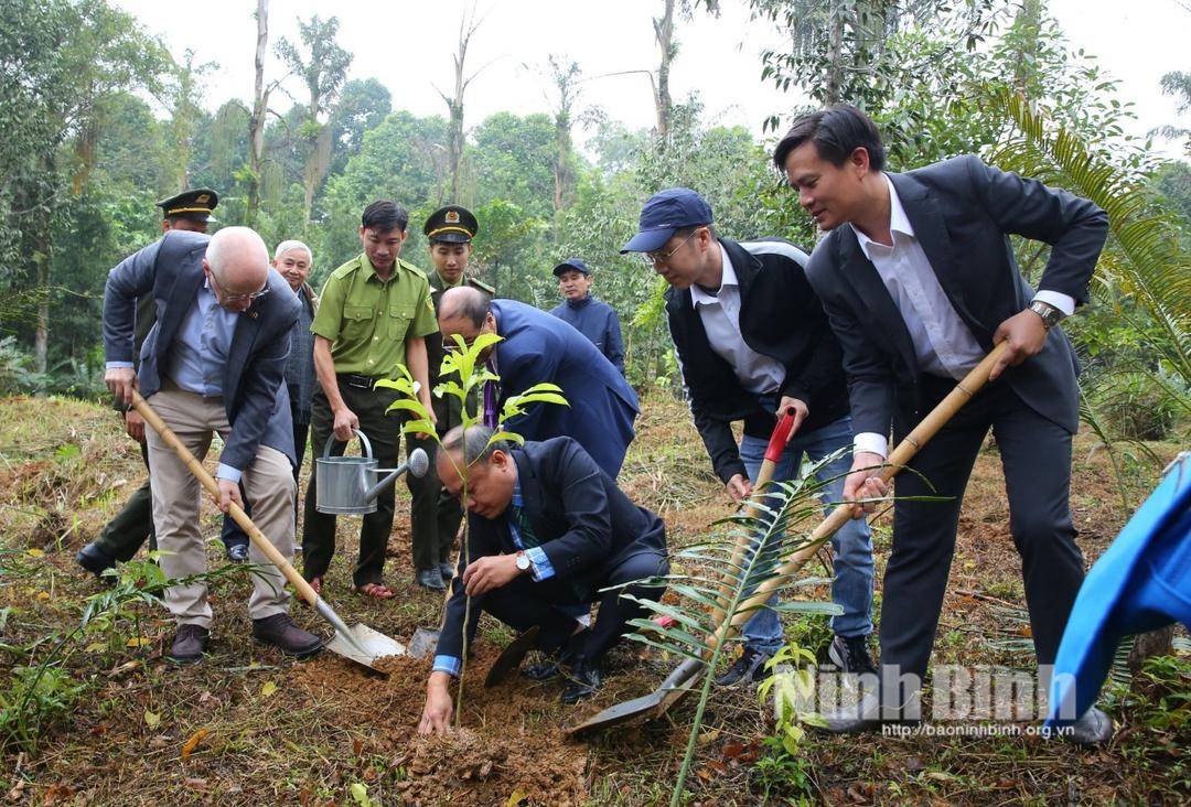 Tree planting marks 50th anniversary of Vietnam - Finland ties