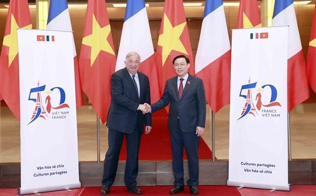 Vietnam, France - accompanying, reliable partners: Ambassador