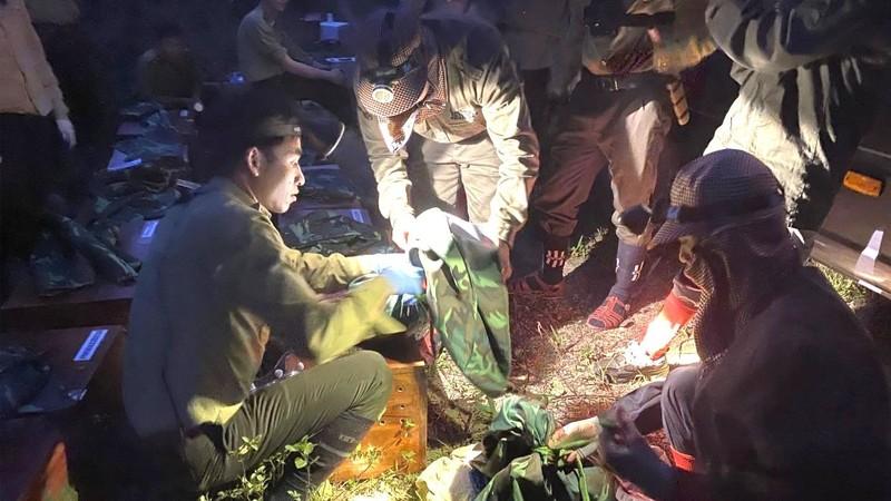 Endangered Sunda pangolins released into wild