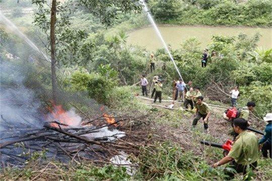 Ninh Binh steps up fire prevention and control during dry season
