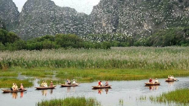 Party's resolution spurs environmental protection progress: Official