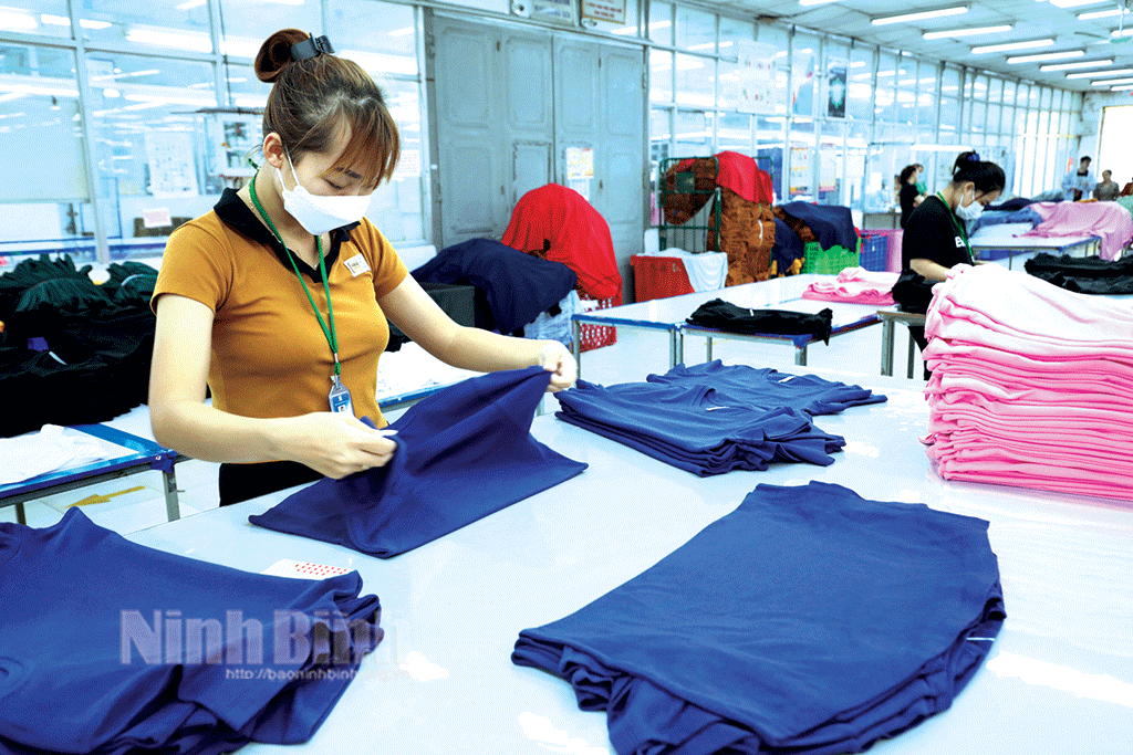 Province's index of industrial production reaches over 65.1 trillion VND in eight months