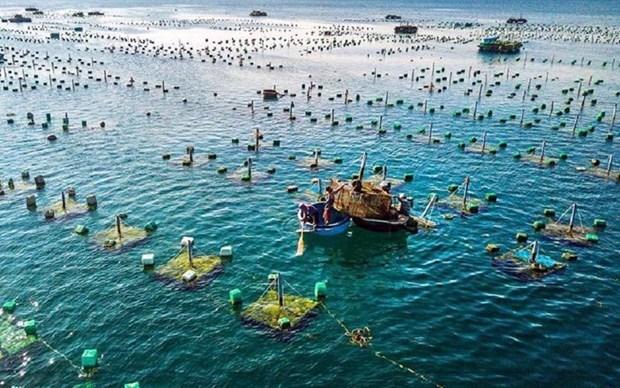 Vietnam's aquaculture top position on world map