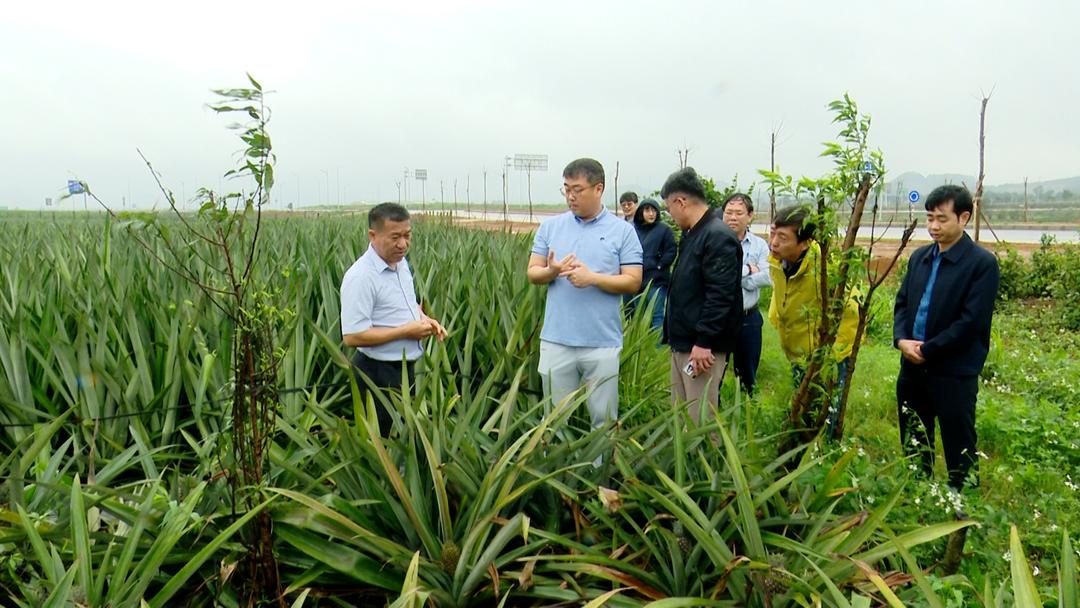 Ninh Binh, Asan city enhance agricultural cooperation
