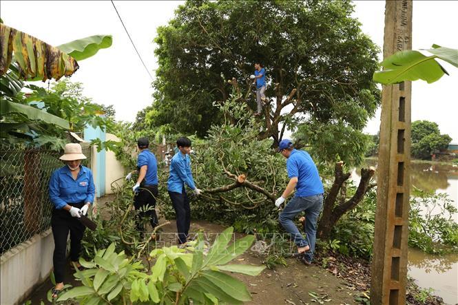 Ninh Binh's youths join hand in speeding up 500kV circuit-3 power transmission line project