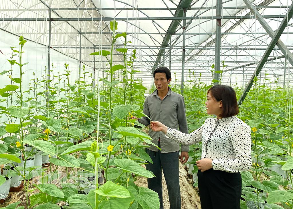 Ninh Binh steps up application of scientific-technological advances in economic development