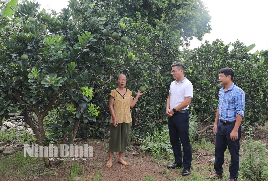 Ninh Binh supports sustainable poverty reduction