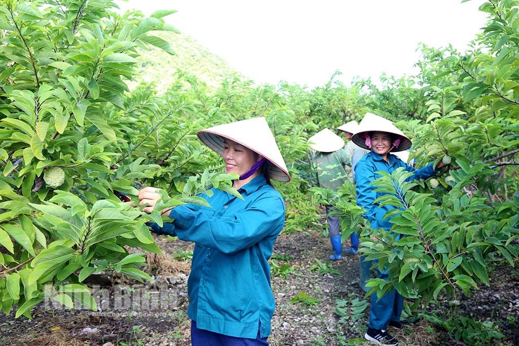 Ninh Binh fully taps potential of local agricultural products