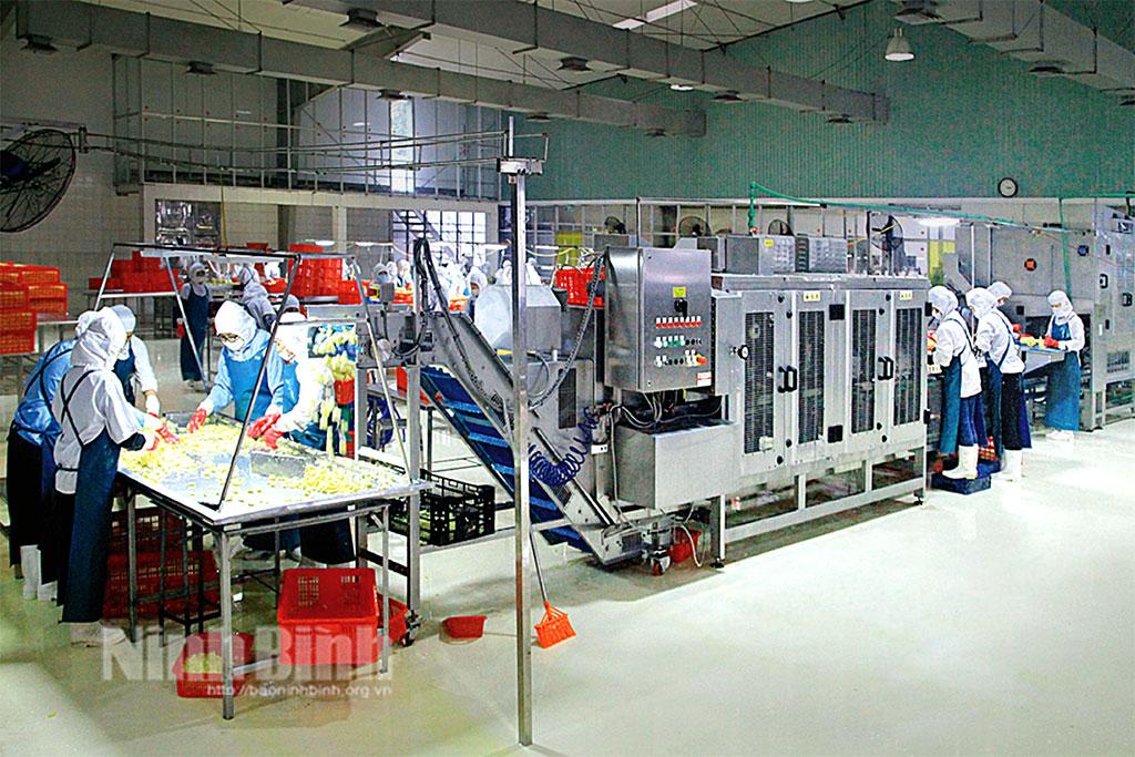 Ninh Binh's economy continues to flourish in July