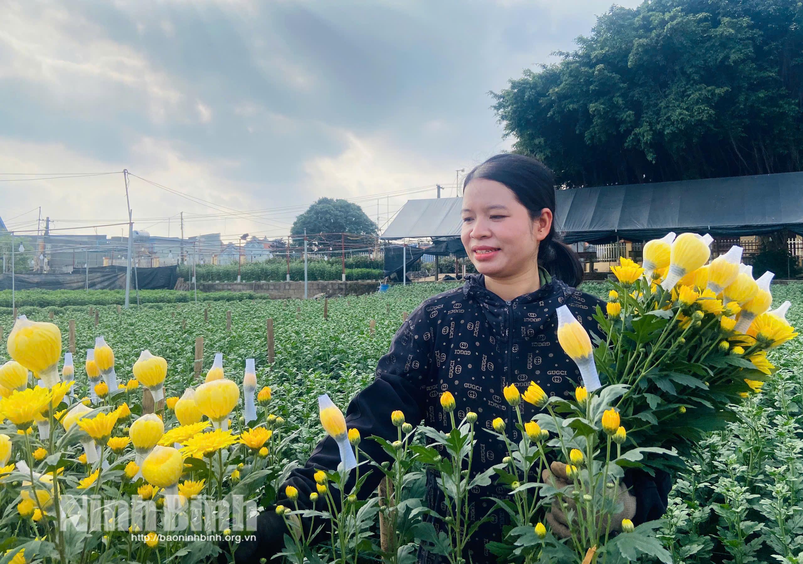 Planting flowers bring higher income for local farmers.