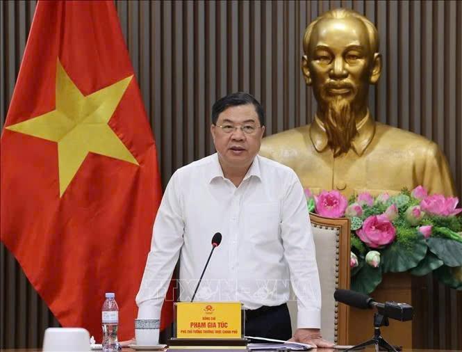 Permanent Deputy Prime Minister Pham Gia Tuc speaks at the meeting (Photo: VGP)